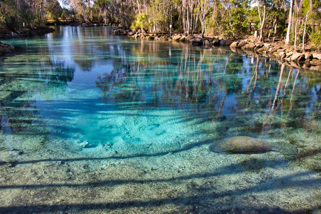 water filtration & softening services in Citrus County, Florida